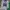 Jersey American Football Original 2 Pcs photo 3