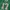 Jersey American Football Original 2 Pcs photo 6