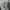Arnaldo Bassini Futurist Vest Woman photo 1