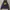 HOODIE DICKIES photo 1