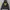 HOODIE DICKIES