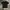 Spao Sportswear T-shirt Pria white black photo 2