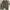 CASUAL JACKET SEUD CANVAS BOXY photo 1