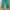 Double focus longpants cotton photo 2