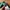Double focus longpants cotton photo 4