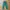 Double focus longpants cotton photo 1