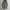 Zara Luxury Casual Pea coat Wanita gray photo 2