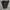 Stone Island Cargo Pants Type SK photo 1