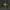 Stone Island Cargo Pants Type SK photo 5