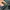 Stone Island Cargo Pants Type SK photo 7