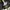 Stone Island Cargo Pants Type SK photo 4