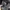 JAS BLAZER PRIA MAESTRO IMPERIAL MADE IN ENGLAND photo 4