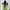 Issey Miyake Pleats Please Apron Dress photo 3