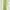 Issey Miyake Pleats Please Apron Dress photo 5