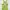 Issey Miyake Pleats Please Apron Dress photo 6