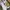 Nike air force 1 with photo 1