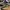 Vans oldskool proskate photo 3