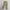 Emsaxik Vintage Buckle Back Carpenter Work Pants Regular photo 3