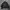 Browny MA1 Bomber Jacket photo 3