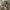 Wedding dress photo 3