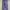Jeans Purple Monki