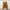 Thanksinsomnia Streetwear Skater Sweater Pria brown photo 1
