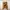 Thanksinsomnia Streetwear Skater Sweater Pria Brown