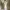 Vintage slipp dress  photo 1