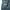 Shortpants Jorts 96NORTH Denim Celana Pendek 96 NORTH Jeans photo 4