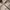 Japanese brand Gorpcore Sportswear Varsity jacket Pria cream tan photo 2