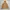 Uniqlo Blocktech Jaket  photo 8