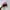 Oncloud Running x Loewe Cloud Tilt 2 pink White photo 6
