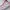 Nike Air Jordan 1 Low SE Artic Punch Purple photo 2