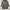 In the Attic Avant Garde Cosplay Denim jacket Pria gray photo 1
