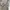 In the Attic Avant Garde Cosplay Denim jacket Pria gray photo 5
