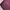 In the Attic Avant Garde Casual Casual shirt Pria burgundy photo 7