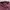 In the Attic Avant Garde Casual Casual shirt Pria burgundy photo 3