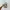 New balance 1906R Moonbeam Raincloud photo 6
