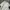 Adidas M S2S Lambs Wool Fleece Jacket photo 6