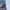 Polo Ralph Lauren Y2K Skater Jeans Pria blue photo 4