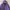 Uniqlo Purple Puffer Down Light Jacket photo 2