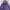 Uniqlo Purple Puffer Down Light Jacket