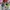 adidas Retropy E5 'Pride' (43 1/3) photo 4