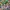 adidas Retropy E5 'Pride' (43 1/3) photo 7