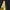 Shovit cropp shoes dvsn X The simpsons (42) photo 4