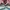 Shovit cropp shoes dvsn X The simpsons (42) photo 1
