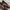 Heels Wanita Maroon photo 1