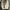 Handbag pouch louis vuitton toillette original sale harganet photo 9