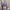 Purple Sweater  photo 1
