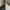Filson Prospector Full Zip Hoodie photo 3